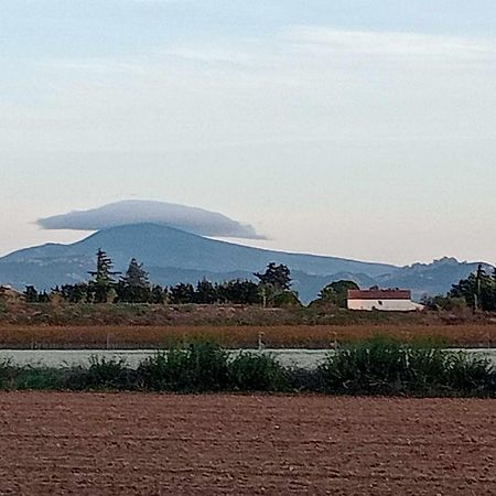 Chambre D'Hotes Les Garrigues Piolenc Εξωτερικό φωτογραφία