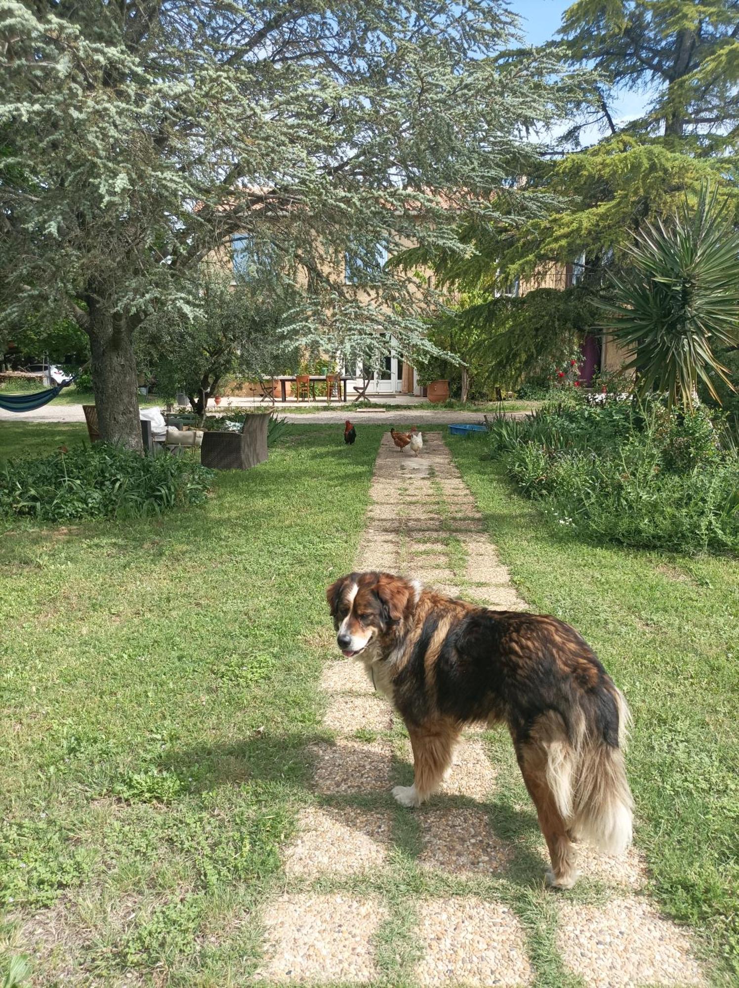 Chambre D'Hotes Les Garrigues Piolenc Εξωτερικό φωτογραφία