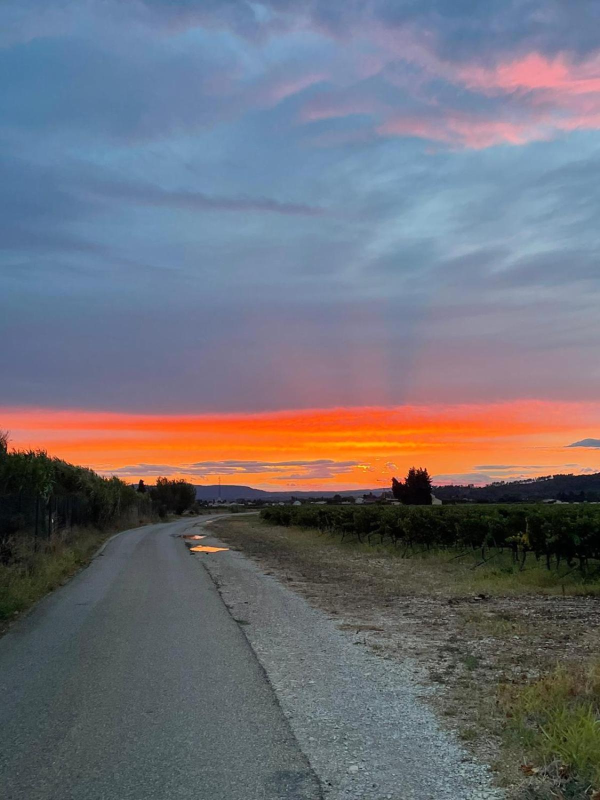 Chambre D'Hotes Les Garrigues Piolenc Εξωτερικό φωτογραφία